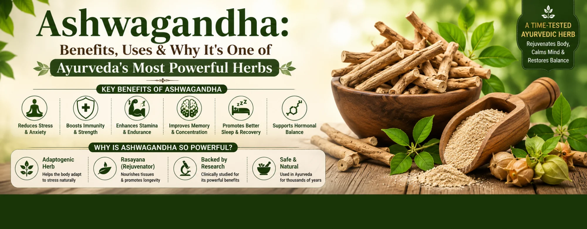 Ashwagandha: Benefits, Uses & Why It's One of Ayurveda's Most Powerful Herbs